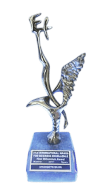 Business Excellence Category Winner